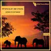 TP One & D`Arcangel - African Sunrise - Single